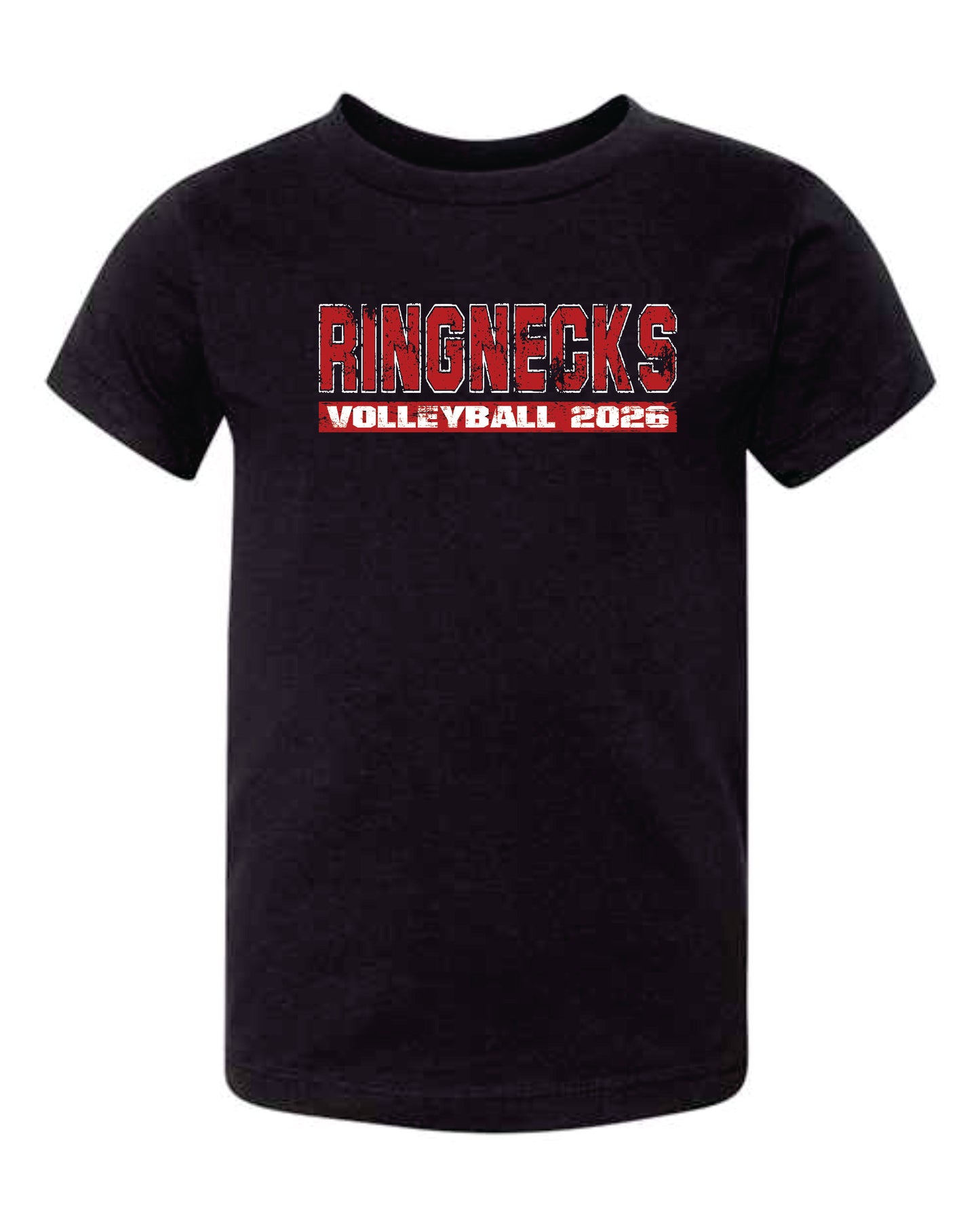 2026 HCHS Volleyball-