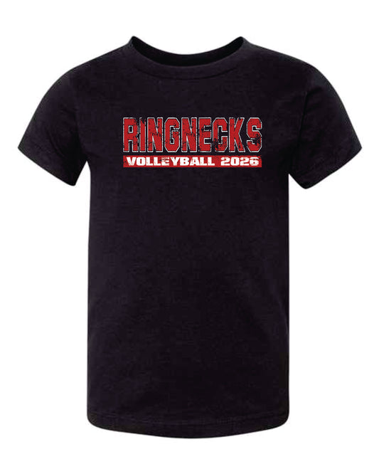 2026 HCHS Volleyball-