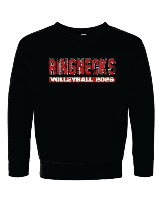 206 HCHS Volleyball- Rabbit Skins Toddler Crewneck